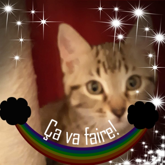 Meet your Posher, Vicky - Picture 1 of 1